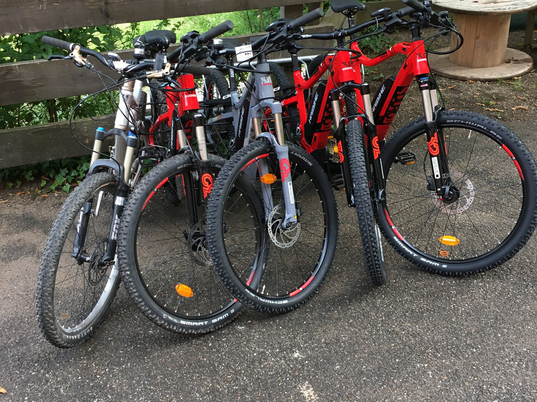 Hotel Floridor主图