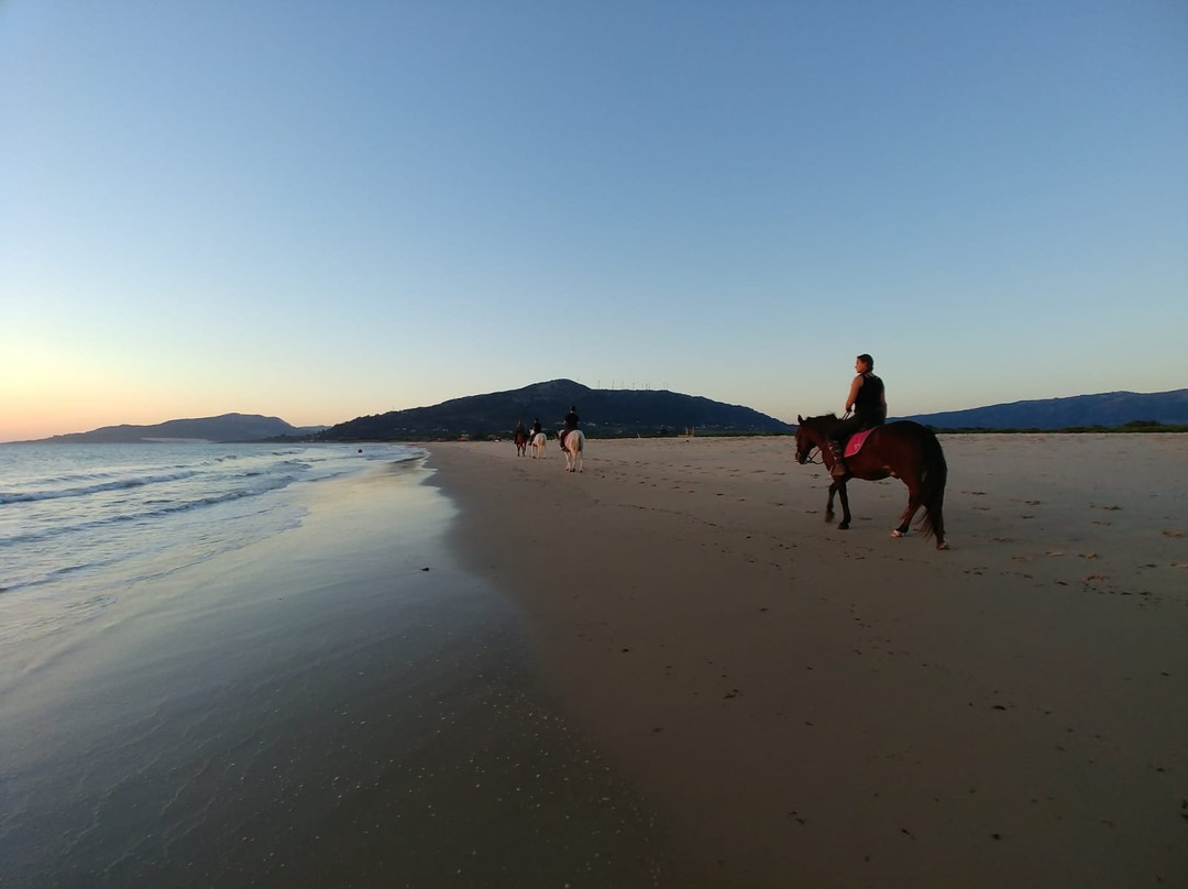 Free your Mind-塔里法必去景点