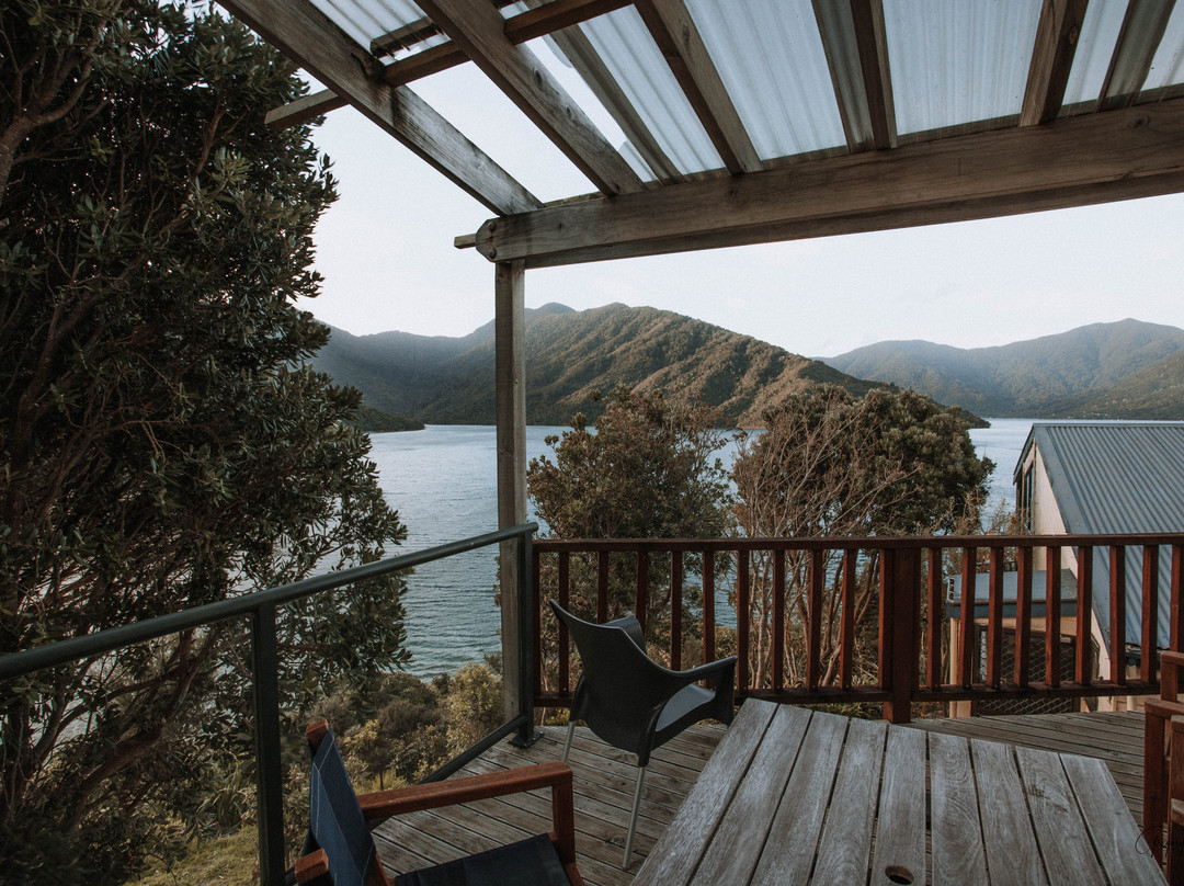 Punga Cove Resort主图