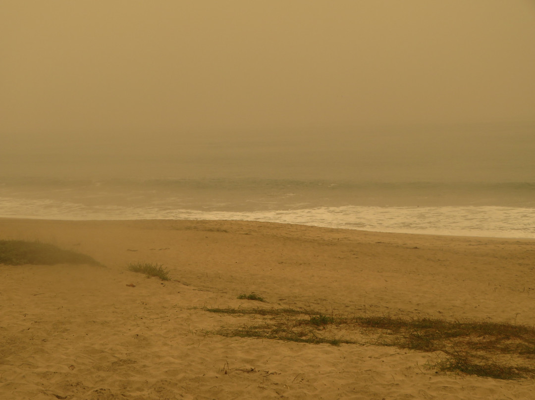 Roosevelt Beach-半月湾必去景点