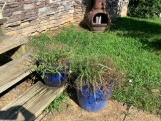 Hidden Cave Ranch主图