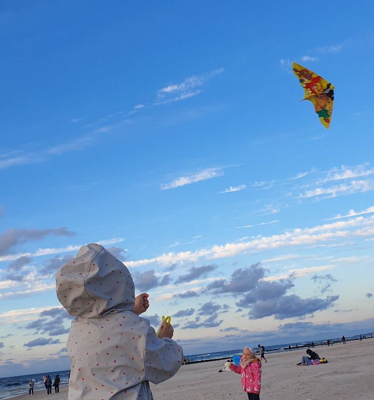Beach景点图片