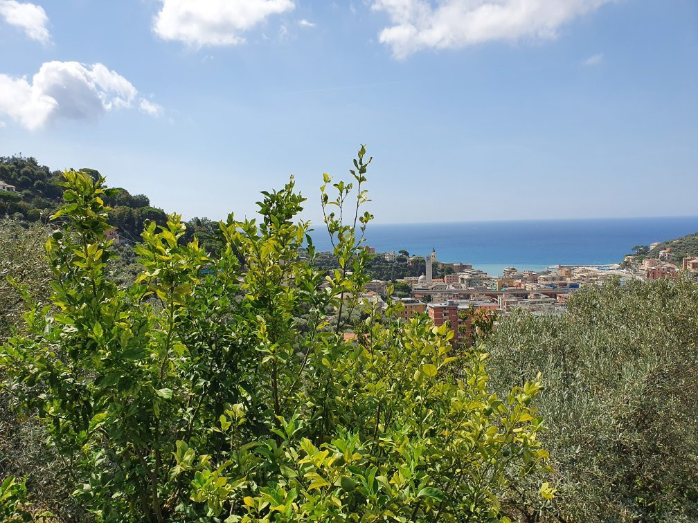 Rooms and Breakfast Casa Balin主图