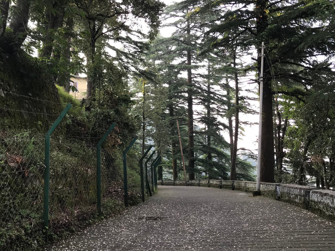 Trip The Himalaya景点图片