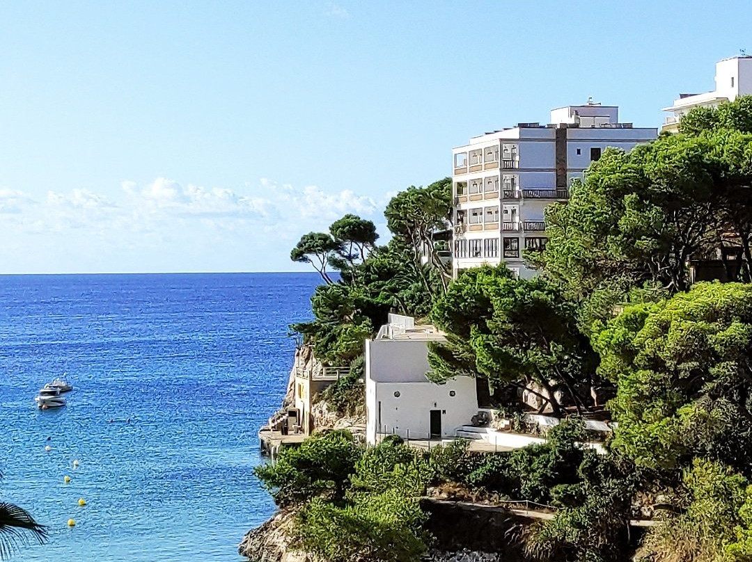 Hotel Cala Santanyi & Apartamentos主图