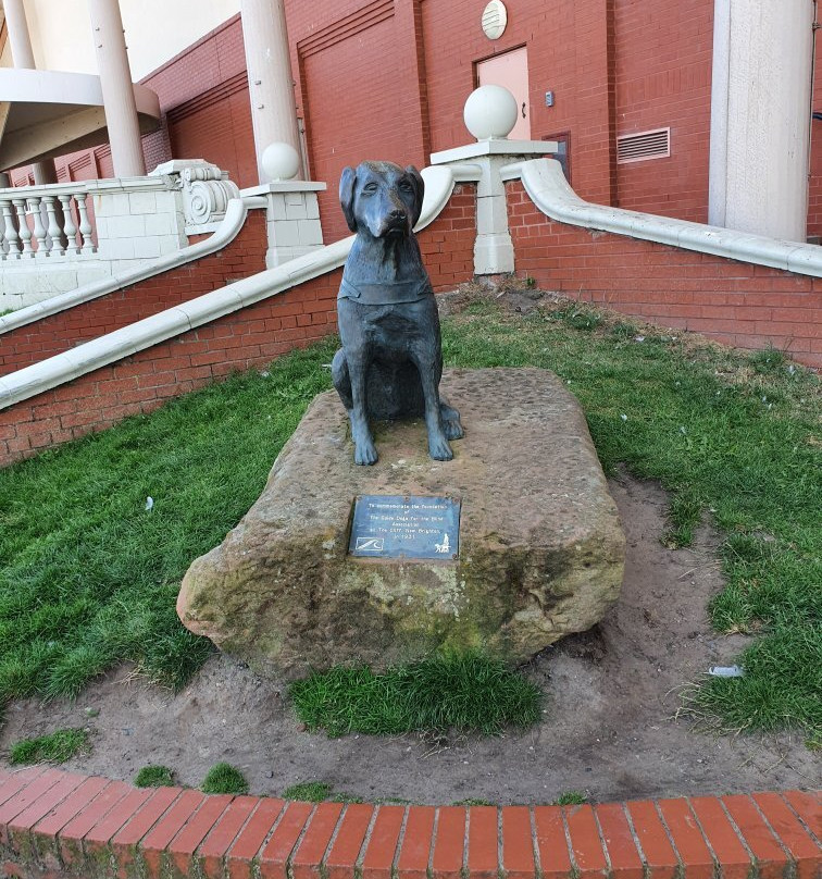 Guide Dog Statue-New Brighton必去景点