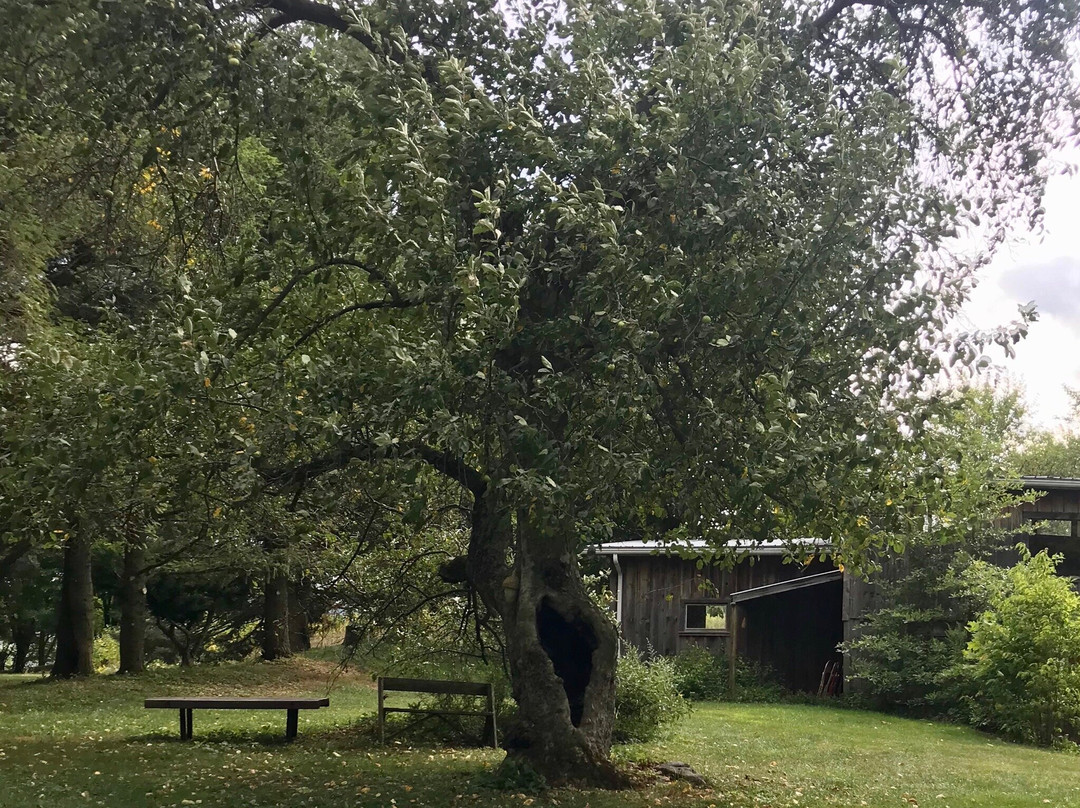 Rhoneymeade Arboretum & Sculpture Garden-中心大厅必去景点