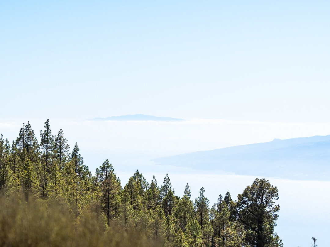 Top Buggy Adventure-圣克鲁斯-德特内里费必去景点