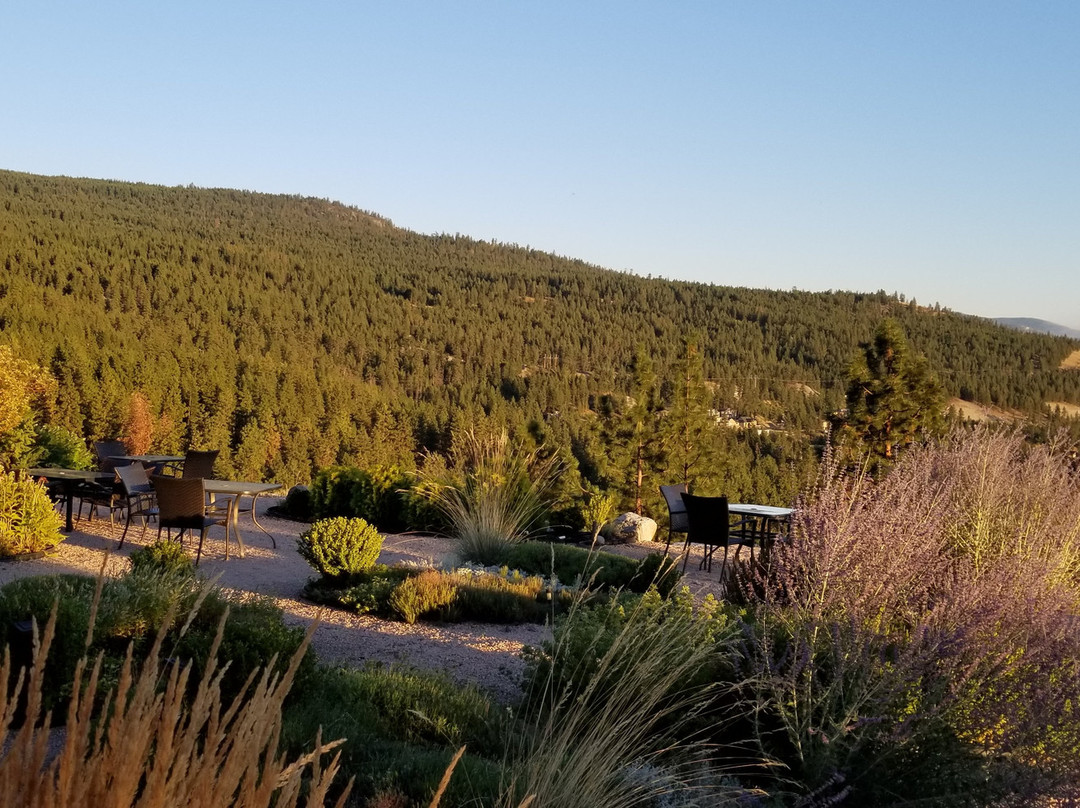 Forgotten Hill Bed & Breakfast主图