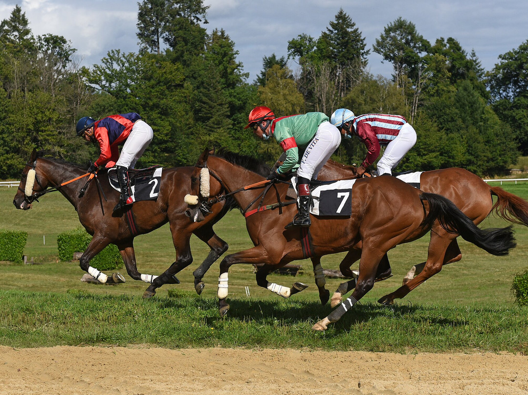 Pompadour Racecourse (Hippodrome de Pompadour)景点图片