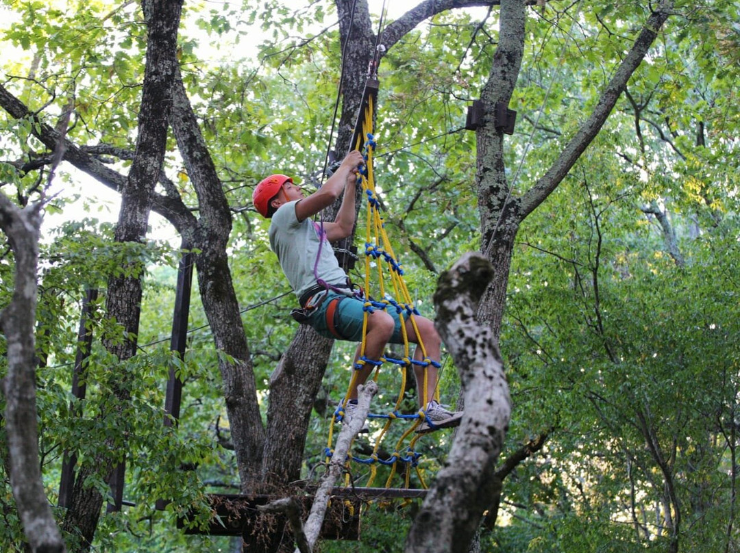 Rope Park Zhyolud-Krinitsa必去景点