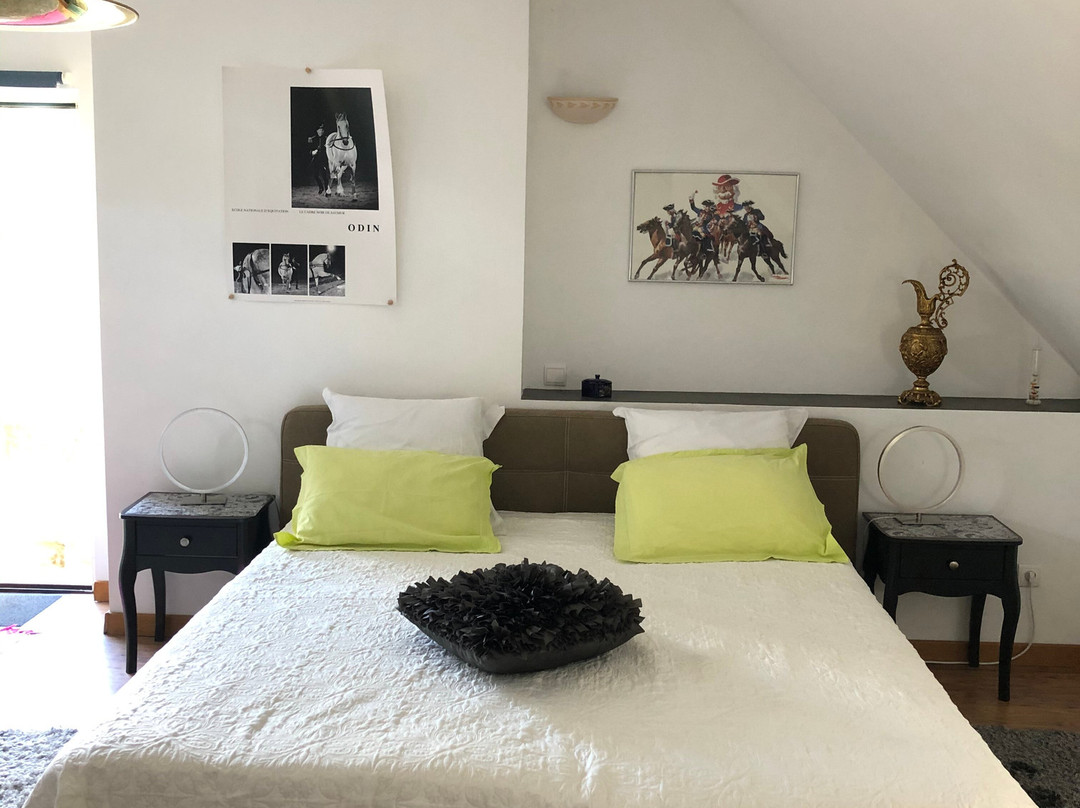 Chambres d'hotes La Grange Renaud主图