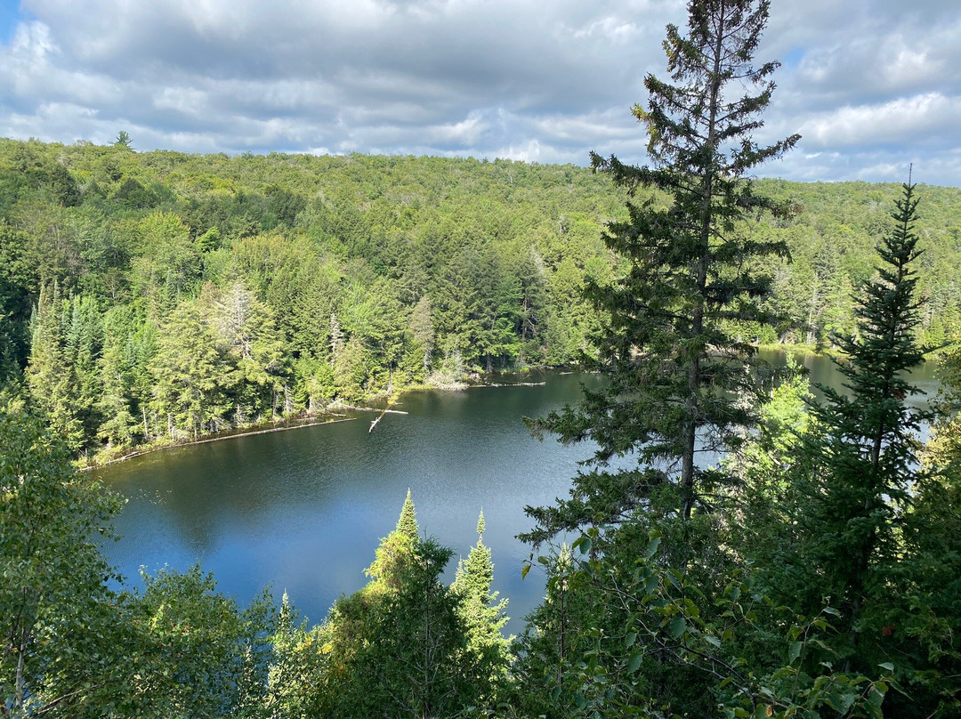 Hemlock Bluff Trail景点图片