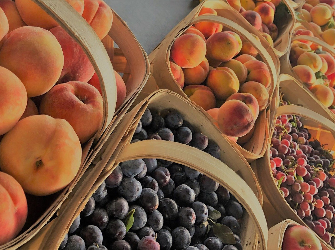 Bedford Farmers Market-Bedford必去景点