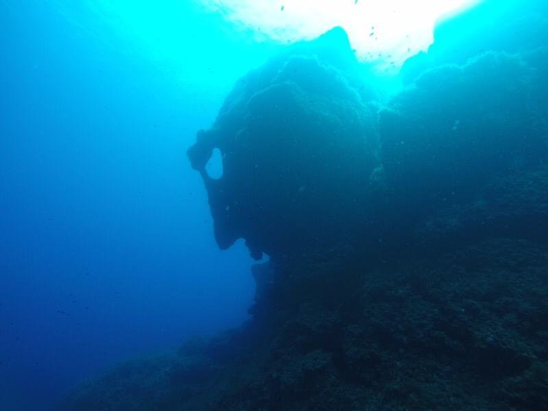 Bleu Marine Plongée景点图片