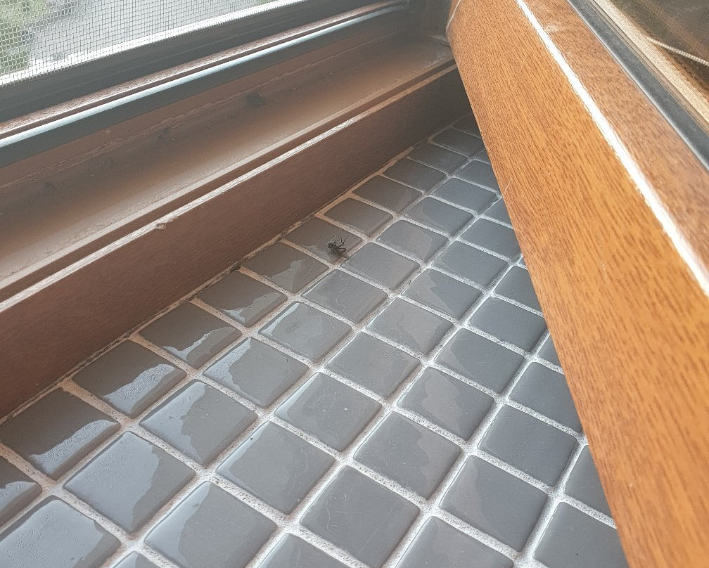 Hotel Lesnaya Skazka主图