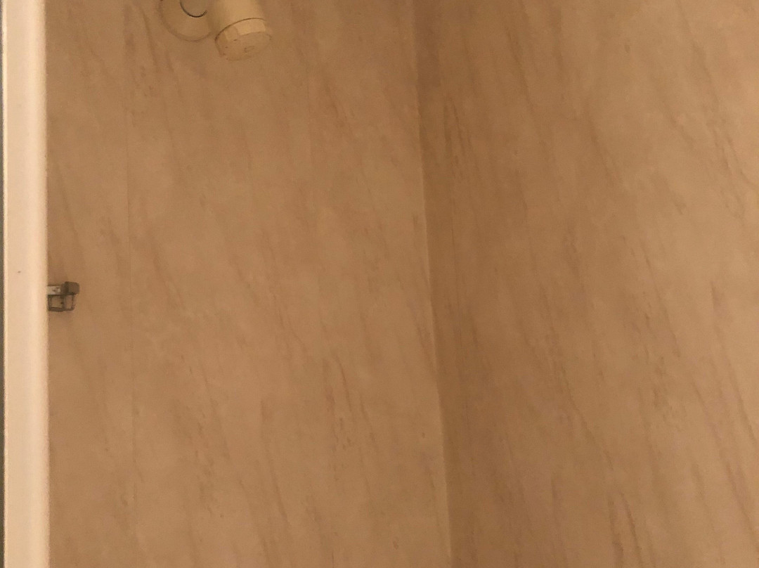 The Bear Hotel主图