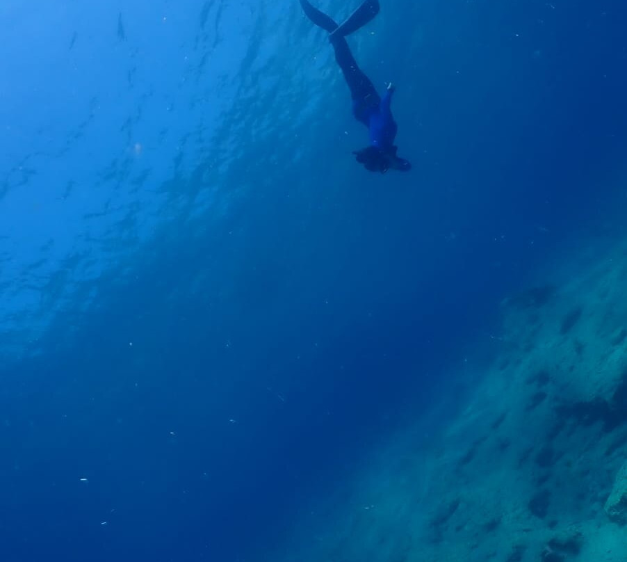Life Aquatic Freediving and Yoga School-卡斯必去景点