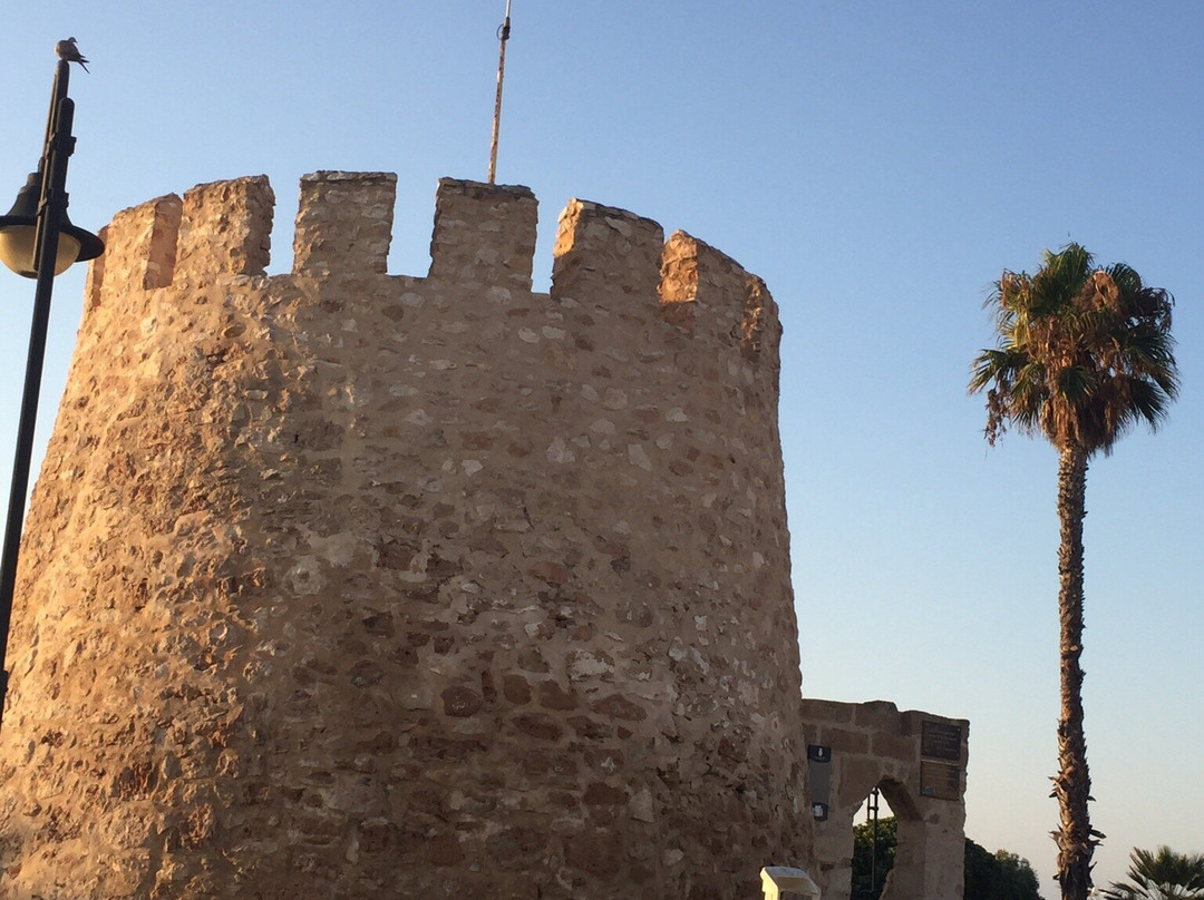 Torre del Moro景点图片