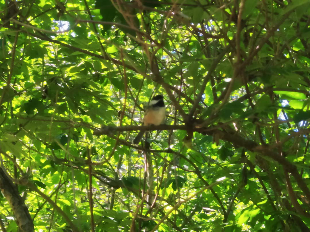 Daly Point Nature Reserve-Bathurst必去景点