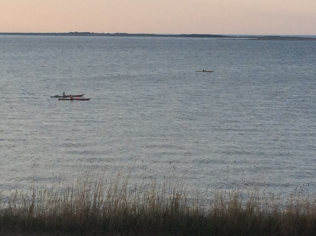 Malpeque Bay Kayak Tours景点图片