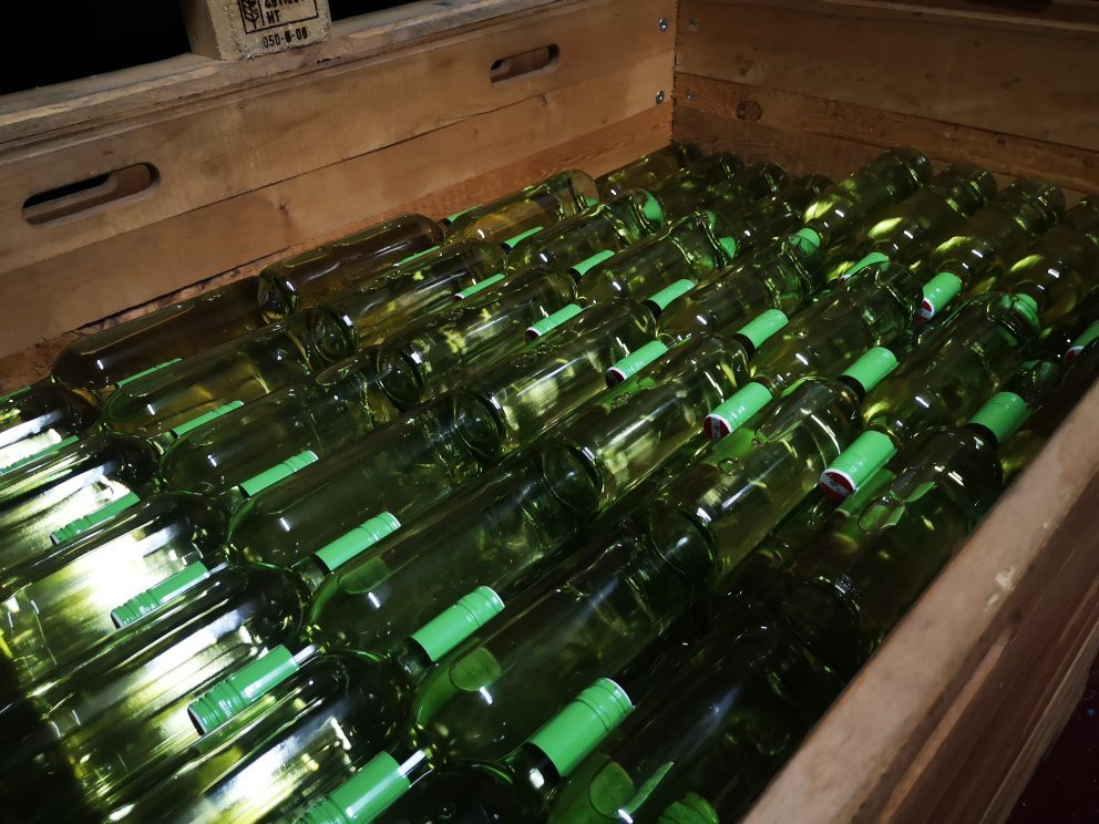 Weingut Kranixfeld-Fischl-Mörbisch必去景点