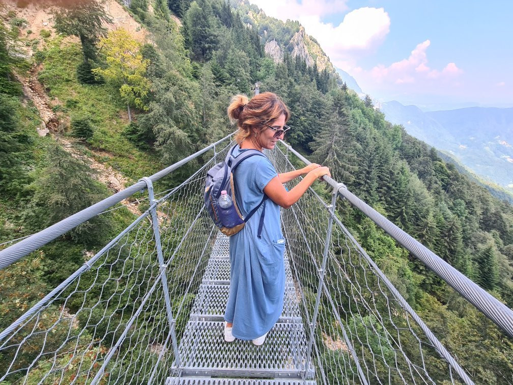 Ponte "Avis''景点图片