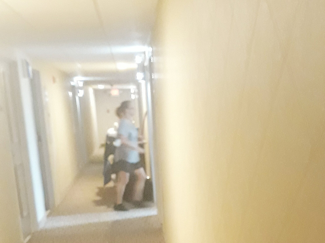 Harbor Town Inn, BW Signature Collection主图