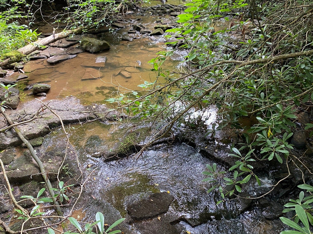 Rich mountain Battlefield Civil War Site景点图片