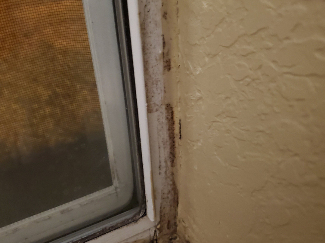 Comfort Inn & Suites主图