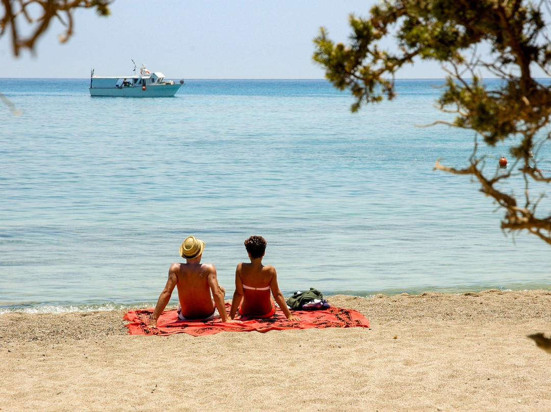 BLUE CRUISES MSC-Ierapetra必去景点