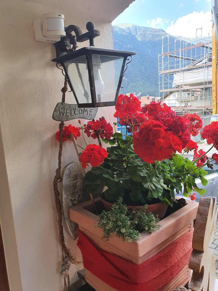 Garni Renzler-官方