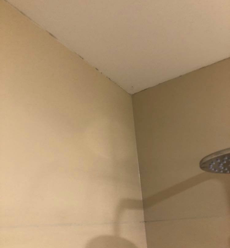 Hotel Magnus Resort主图