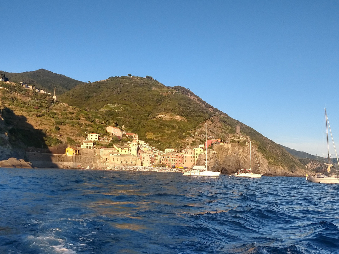 Stella boat tour景点图片