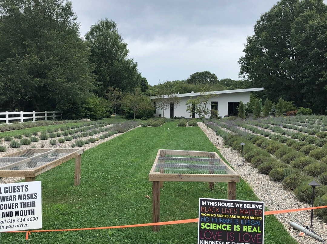 Summerhouse Lavender Farm景点图片