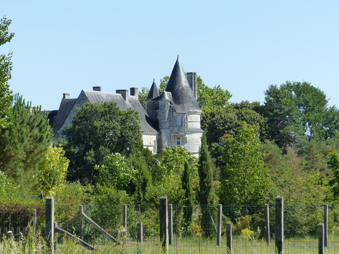 Château de Clairvaux