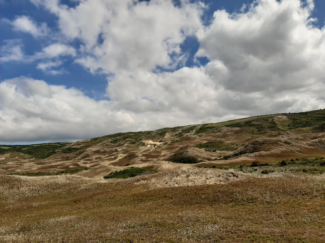 Dune de Biville-La Hague必去景点