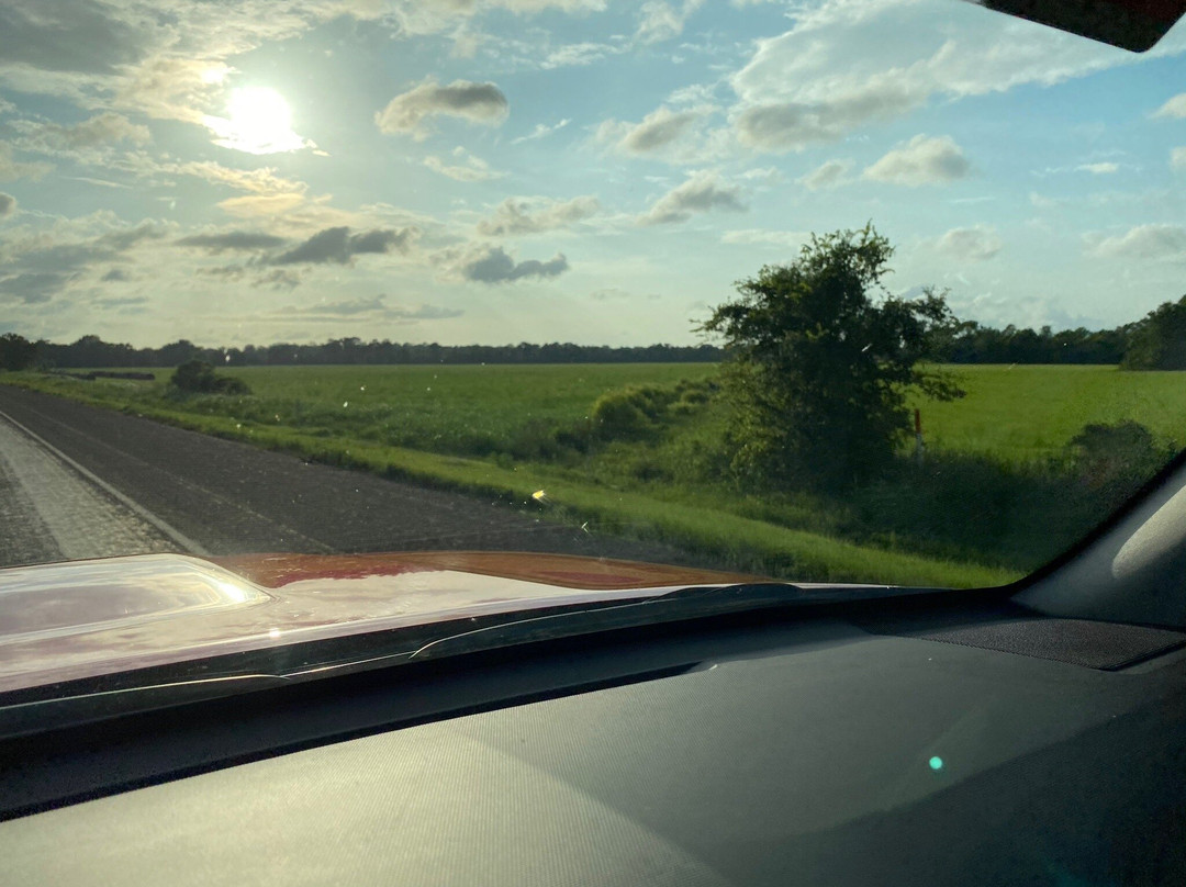 Big Thicket National Preserve-Kountze必去景点