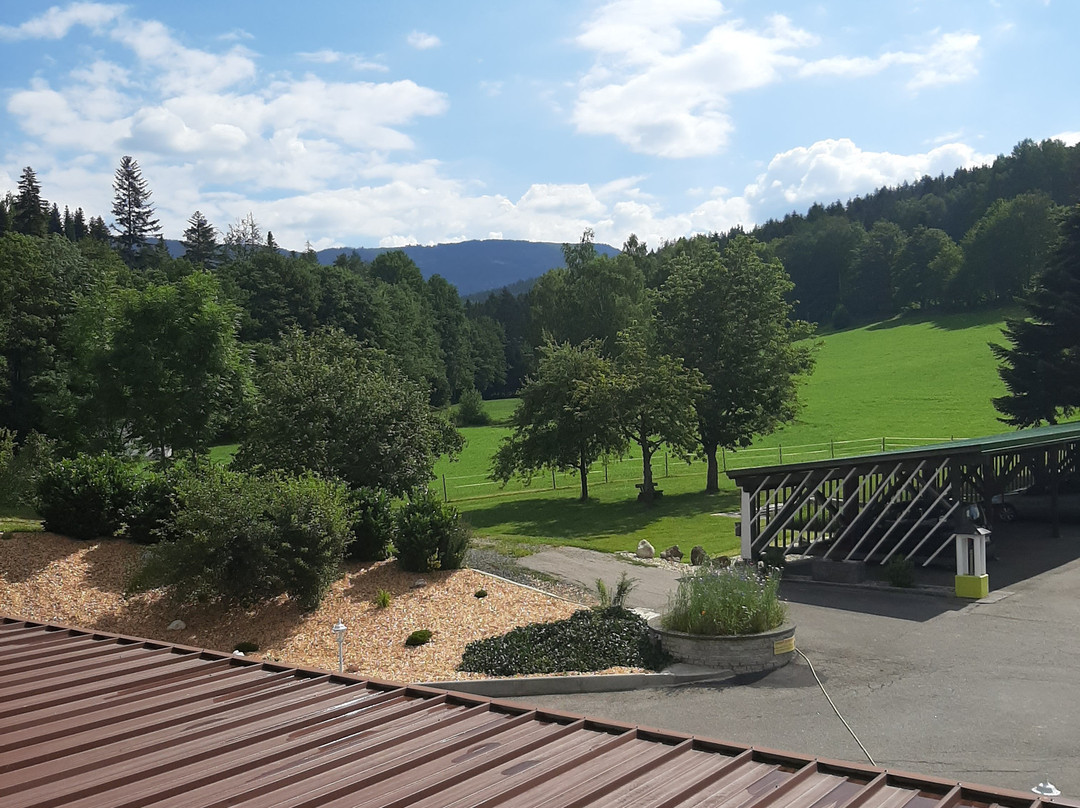 Landhotel GrünWies主图