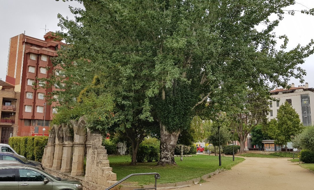 Parc del Terrall-Les Borges Blanques必去景点