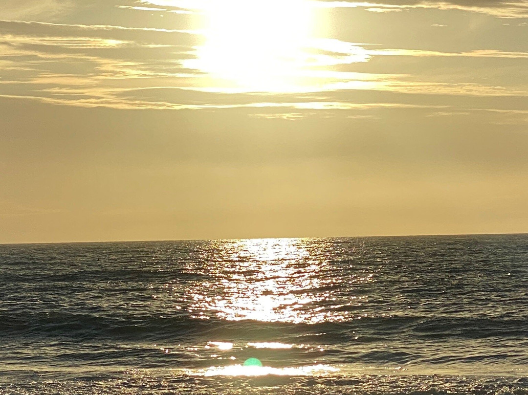 South Beach Place主图