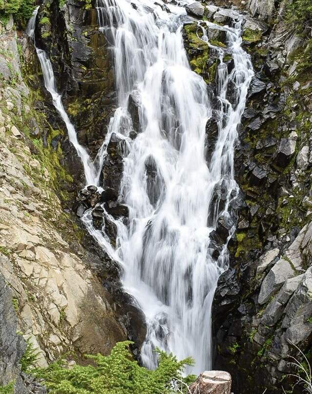 Myrtle Falls景点图片
