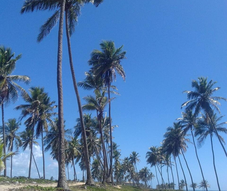 Praia Da Barra Do Jacuípe-Camacari必去景点