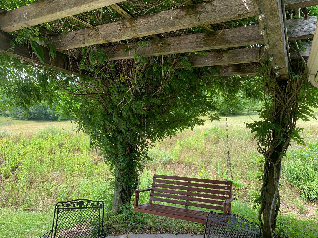 West Wind Farm Vineyard & Winery-Max Meadows必去景点