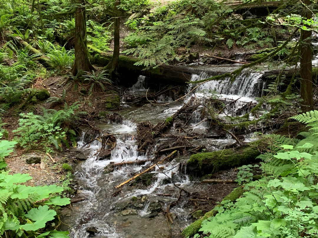 Bridal Veil Falls Provincial Park景点图片