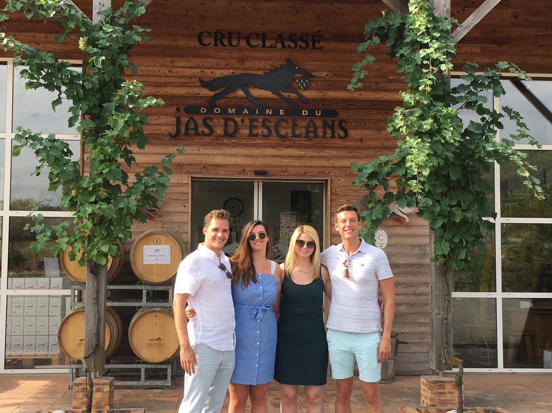 Wine Tours Provence & Riviera-Cogolin必去景点