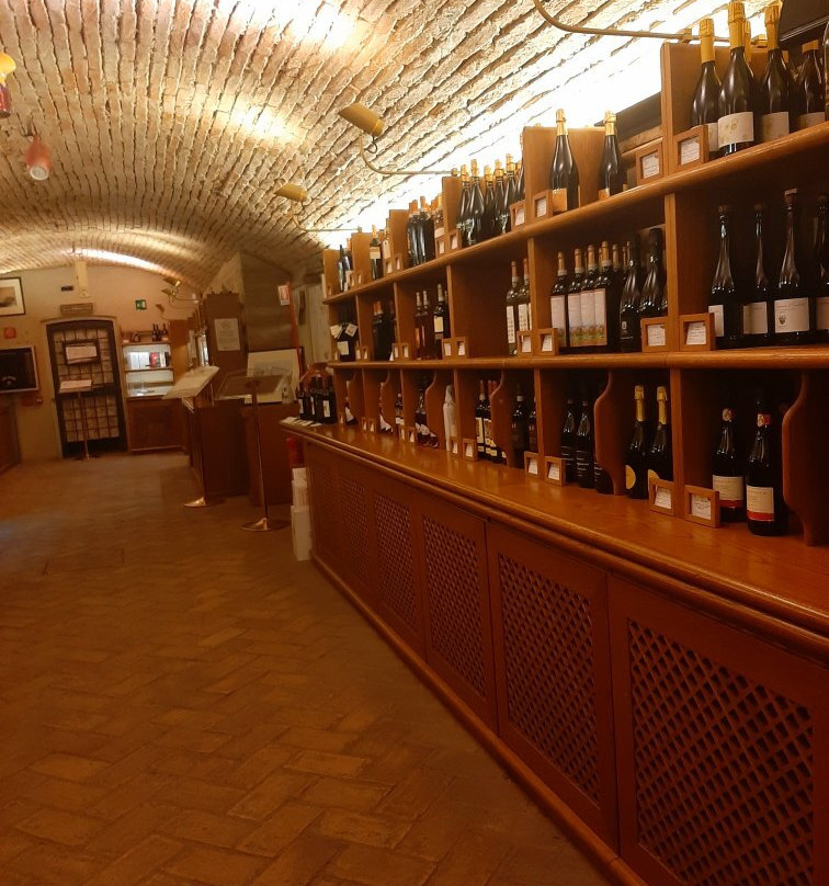 Enoteca Regionale Emilia Romagna景点图片