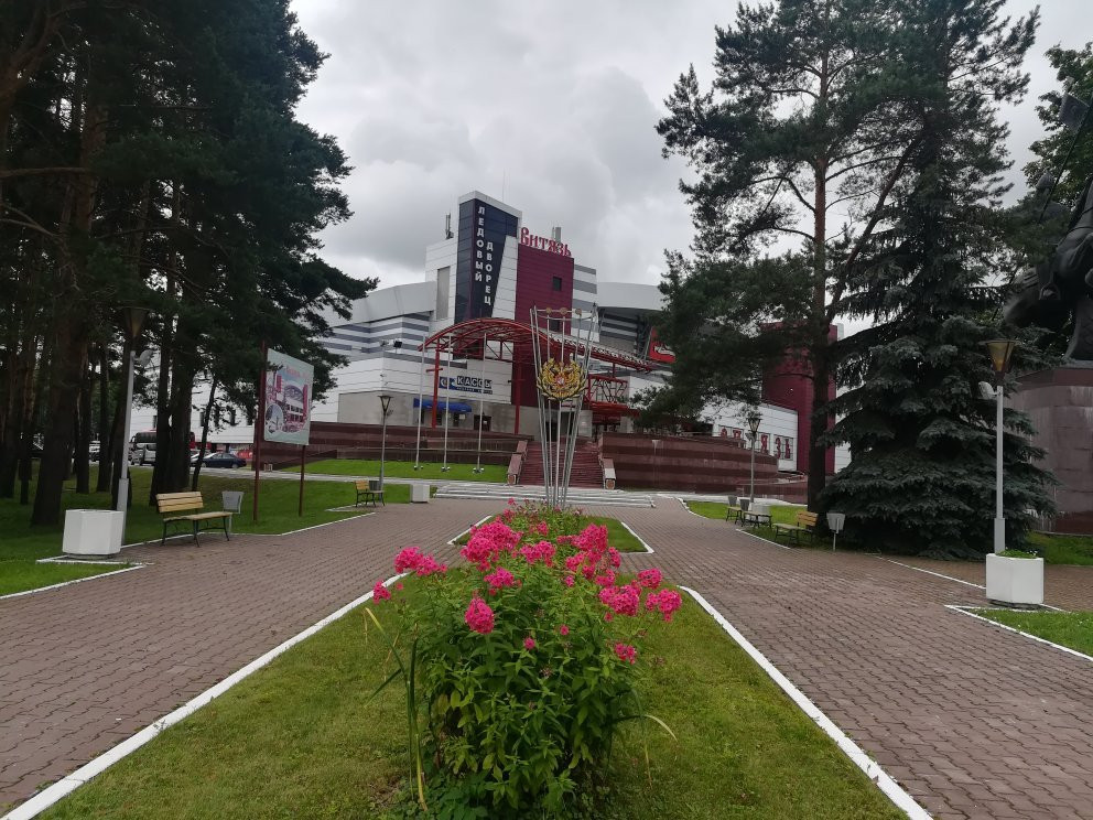Ice Palace Vityaz景点图片