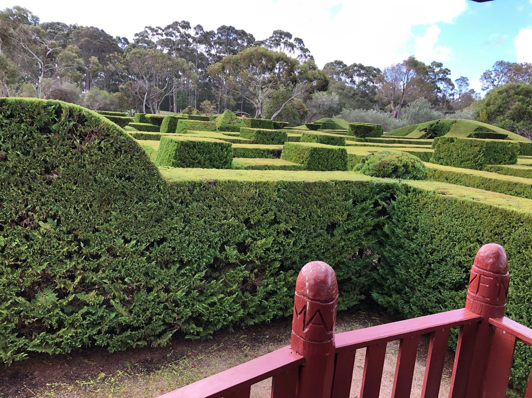 Boranup Forest Maze景点图片