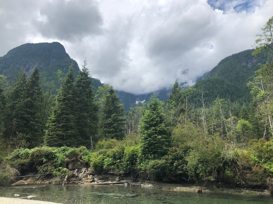 Lower Falls Trail-枫树岭必去景点